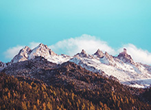 索玛因伤退出国家队 叙利亚队抵达迪拜准备热身赛